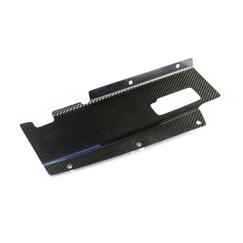 Nismo Omori Factory Carbon Cooling Panel for BNR34